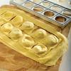 Dumpling Mold Ravioli Maker Press Ravioli Stamp Cutter Dumpling Maker Machine Reusable Multifunctional Pasta Press
