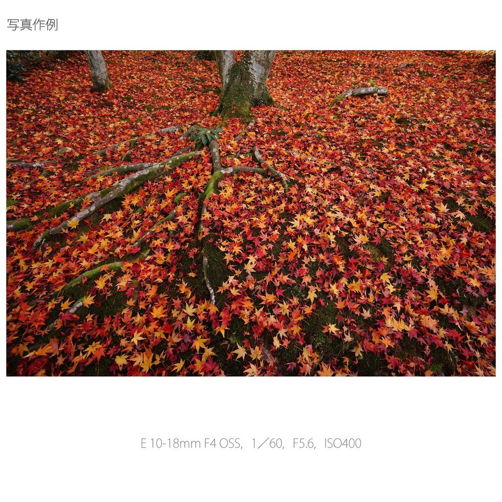 Sony Zoom Lens E F4 OSS for Sony E Mount Exclusive SEL1018 Wide-angle 10-18mm APS-C