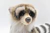 BH4248 HANSA Raccoon 25