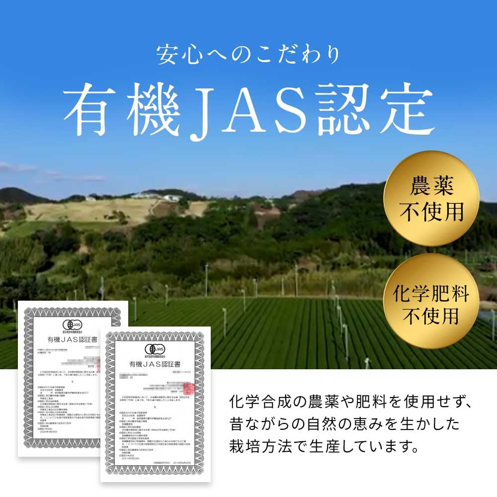[Органический JASASIAGAP] Органический зеленый чай Organland Satsuma Benifuuki, 2 г x 30 чайных пакетиков, Чай Бенифууки