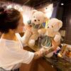 Cartoon Plush Bear Doll Dress Up Stuffed Animal Pillow Fluffy Bear Plush Toy  Children's Gift