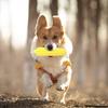Dog Toy Soft Corn Shape Dog Squeaky Toy Teeth Grinding Pet Chew Toy Interactive Playing Toy Pet Supplies