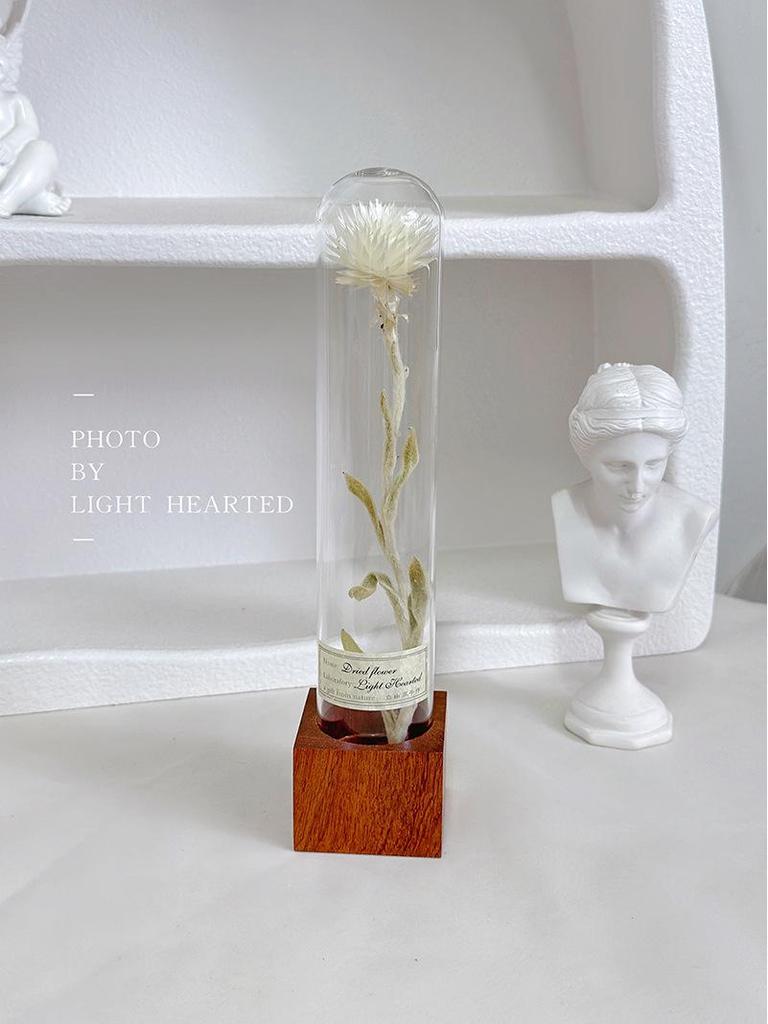 Retro Glass Dome Plant Specimen with Preserved Dried Flowers - Ideal Gift for Graduation, Birthday, Valentine's Day, or Teacher's Day.
