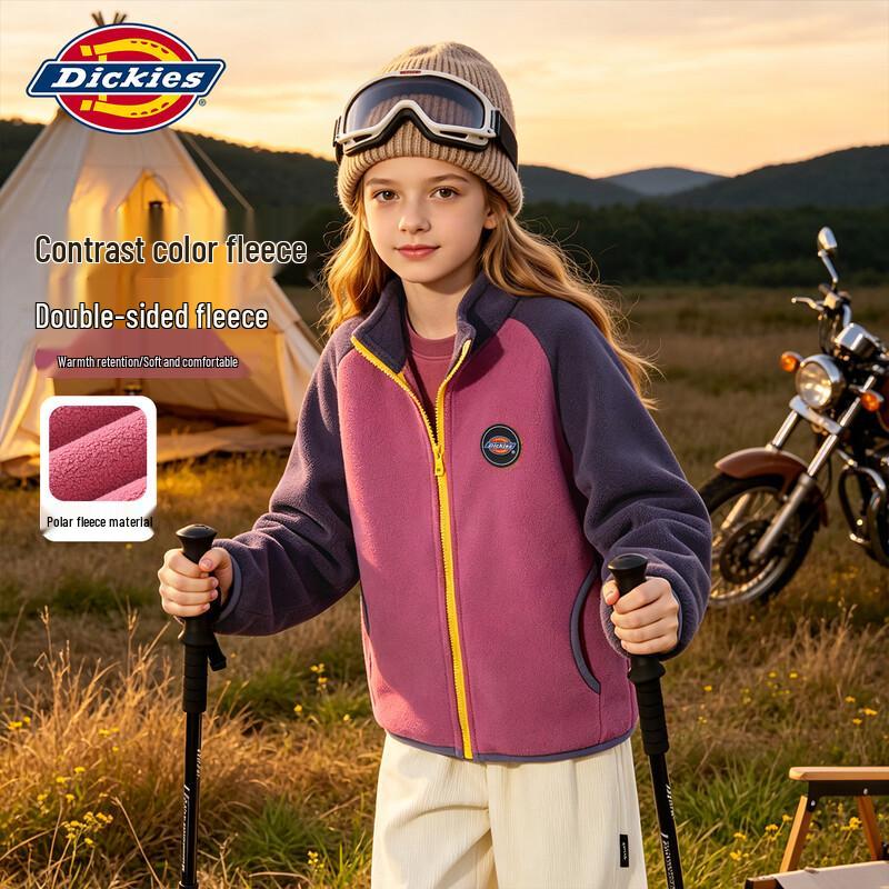 Женская флисовая куртка Dickies с цветовыми блоками и воротником-стойкой