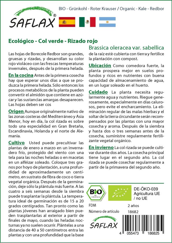 SAFLAX Garden in the Bag - Organic - Капуста - Redbor - 50 семян - С субстратом в подходящем стоячем пакете - Brassica oleracea