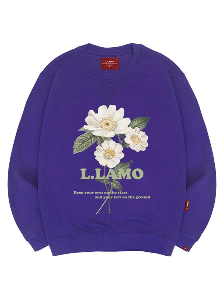 Толстовка Ellamo Lamo Cosmos Унисекс Большого Размера S~4XL