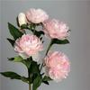 Beautiful 3 Heads Artificial Peony Flowers For Wedding Home Tabel Decoration 75cm Long Branch Fake Flower Hotel Office Decor