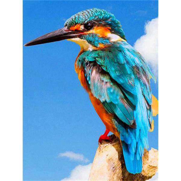 DIY 5D алмазная живопись птицы на деревьях Алмазная мозаика наборы для вышивки крестом украшение дома полная круглая алмазная вышивка