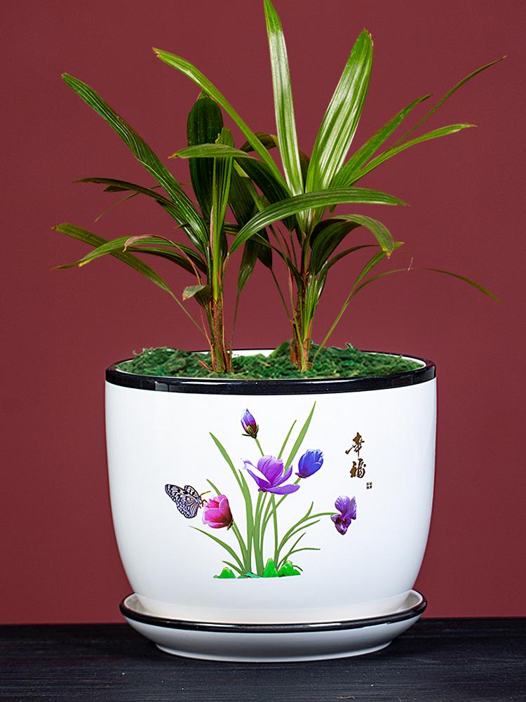 Large Ceramic Flower Pot with Saucer for Indoor or Balcony Plants