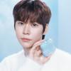 Etude Сменный блок для кушона Cloud Filter + 2 специальных спуска, набор из 4 цветов