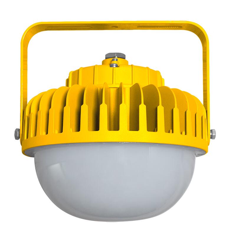 SEVA Explosion-Proof LED Emergency Work Light