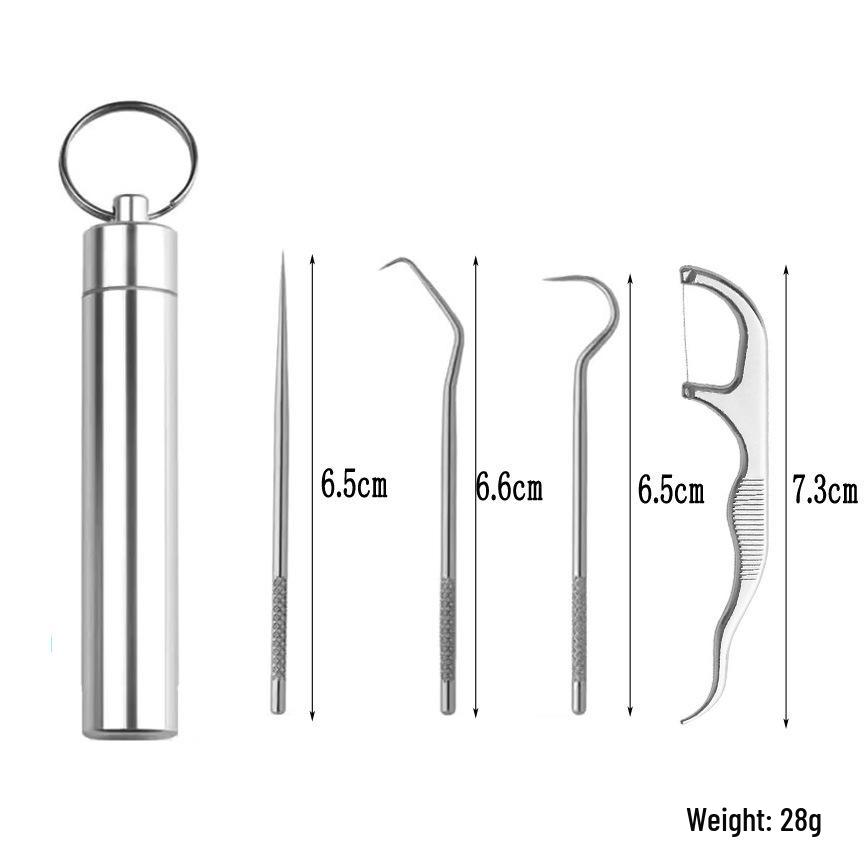 Portable 304 Stainless Steel Toothpick Set with Storage Tube for Oral Care