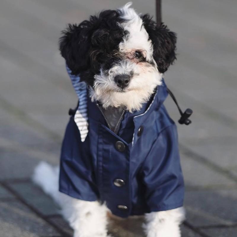 S-5XL Hooded Multi Colors Dog Rain Coat Pet Waterproof Jacket Medium Large Dog Clothing Out Door Clothes