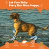 20Pcs Disposable Dog Booties | Dog Boots & Paw Protectors | Quickly Open The Disposable Dog Shoes | Waterproof Dogs Boots | Dogs Socks to Prevent