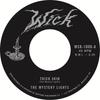 7inch Record MYSTERY LIGHTS - Thick Skin WCK1008 WICK 2018 US Rock