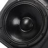 SHILE BM-15 15-inch Professional Stage Speakers (Pair) CN plug (adapter included)