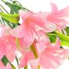33cm 7Heads Hot Water Grass Home Ornament Lilies Bouquet Persian Leaf Fake Lily Artificial Flowers