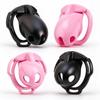 New Chastity Cage Curve Rings Fidelity Cage S M L Size Cock Cage with 6 Penis Ring Invisible Adult Sex Toy for Male SM Sex Game