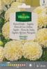 Семена индийской розы кремово-белые H 50 см Килиманджаро