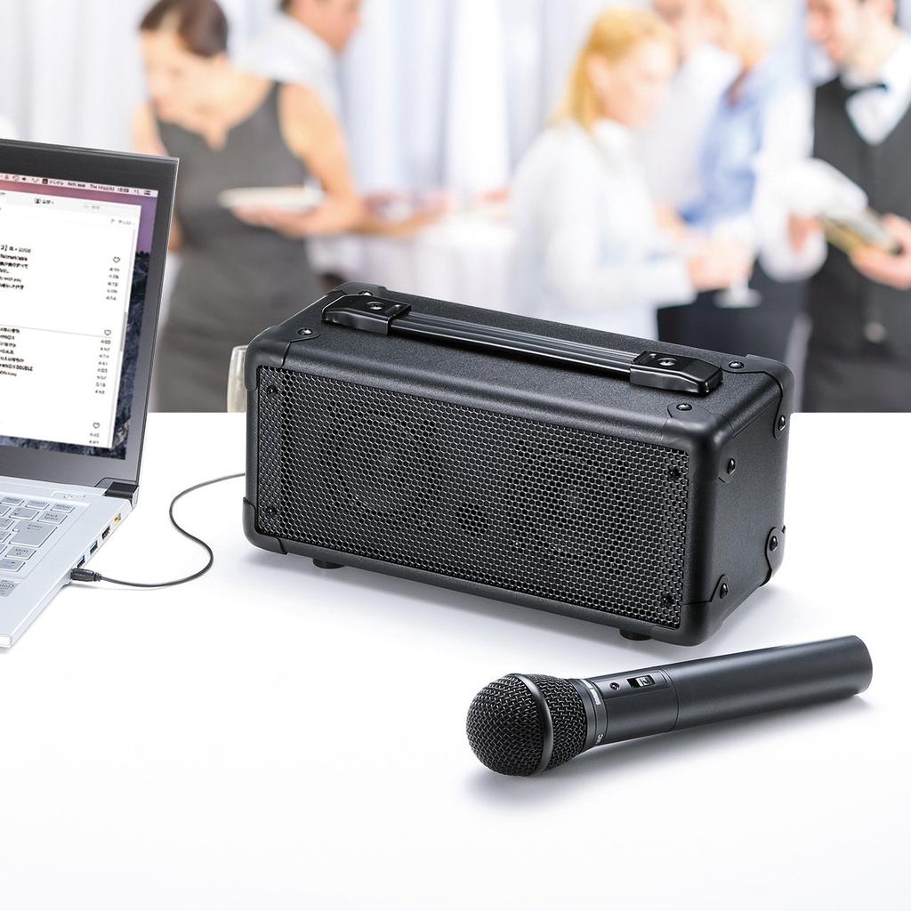 Sanwa Supply Акустическая система с беспроводным микрофоном MM-SPAMP4