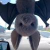 Bat Plush Toy 30cm Stuffed Animal Doll Kids Birthday Christmas Gift Soft Comfort Toy