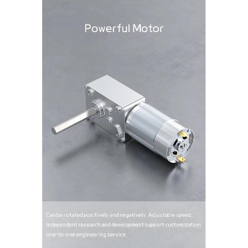 5840-555 Miniature Brushed DC Motor 12V24V Unidirectional Long Axis D Axis Forward And Reverse Switching Speed Regulating Motor