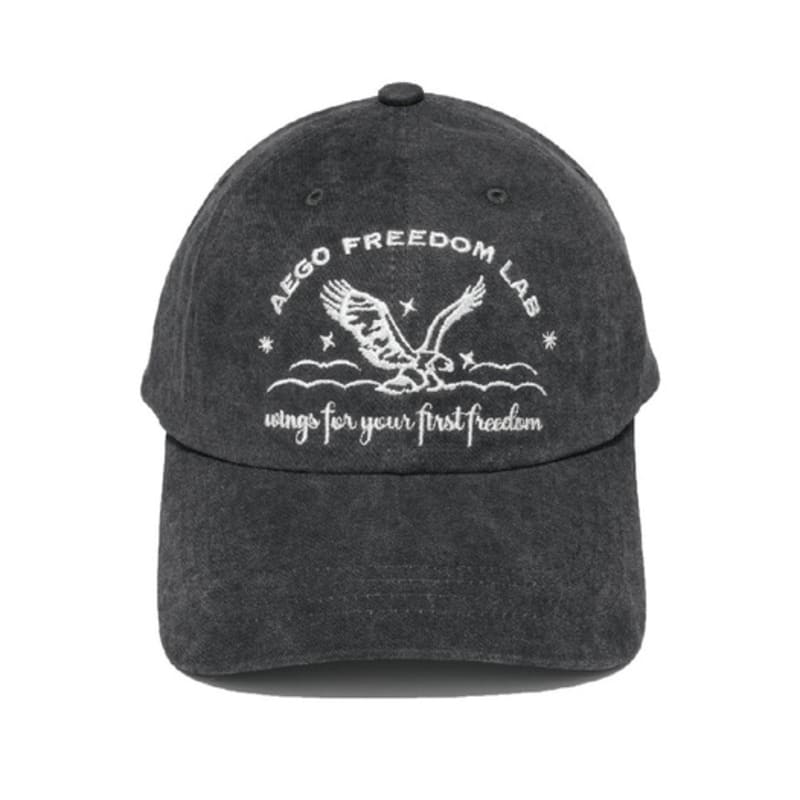 AEGO Freedom Lab Кепка Before sunset_угольно-черная