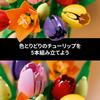 LEGO Botanical Tulip Bouquet 11501 Multicolor