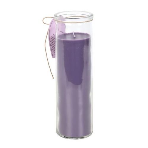 Something Different Of Whiskers and Wings Lavender Tube Candle