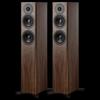 Dynaudio Evoke 30 Hi-Fi Пассивные Напольные Акустические Системы (Китайская версия)