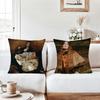 Band F-Florence And The M-Machine Pillow Case Suitable For Bedrooms Living Rooms Cars Home Decoration