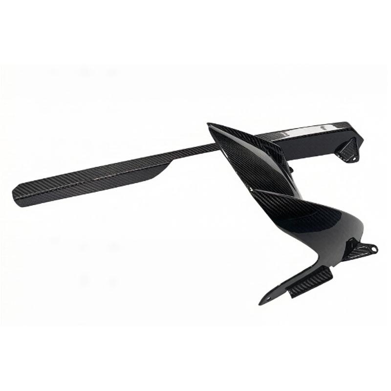 BMW S1000RR/M1000RR/S1000R/M1000R Dry Carbon Fiber Rear Fender