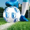 Футбольный мяч FC Magdeburg, разноцветный, подходит для всех возрастов, сшит на машине, материал ПВХ, соревновательного уровня, прочный и с высоким отскоком