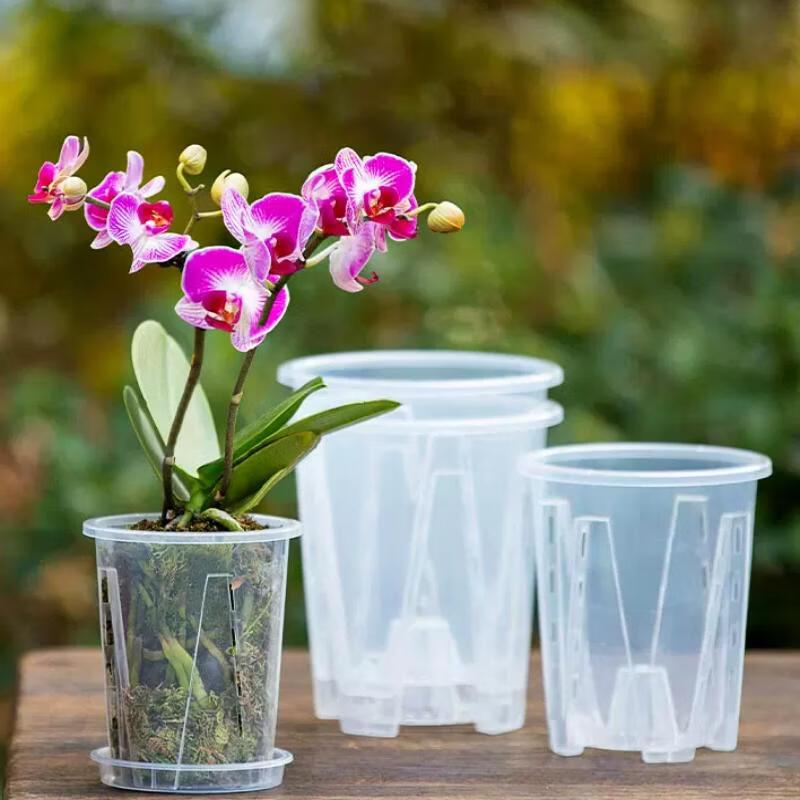 Meinaijia Transparent Breathable Orchid Pot