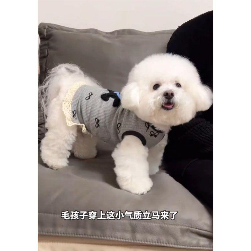 Dog clothes summer new anti-hair loss waffle splicing lace edge vest teddy bear small dog clothing