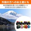 HAMILO Daruma Kokeshi Doll Set 11 Pieces Cute Japanese Figurines for Home Decoration