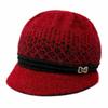 Thickened Fleece Knitted Hat Bow Basin Cap Fashion Winter Hat  Middle-Aged Women