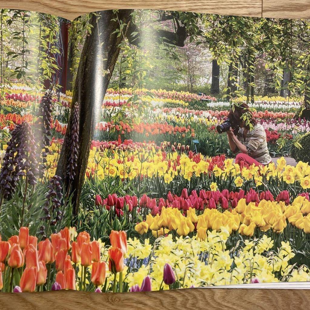 [USED] BooksThe Netherlands