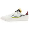 Nike Drop Type HBR 'Multi Print' (Unisex) Skateboard Shoes CW2620 101