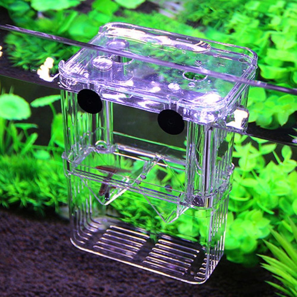 Multifunctional Fish Aquarium High Clear Fish Breeding Isolation Box Aquarium Breeder FishTank Double Guppies Hatching Incubator