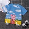 Trendy Cute Cartoon Print Tee Summer Casual Crew Neck Street Fashion Kids Short Sleeve Peppa Pig 3 14 Years