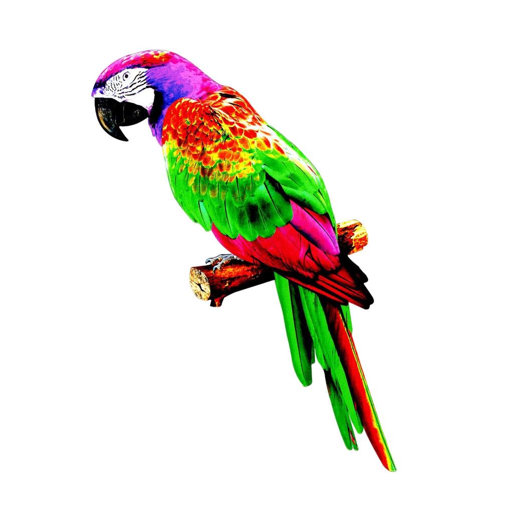 Handcrafted Parrot Sculpture for Outdoor And Indoor Decor
