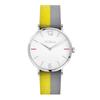 Нейлоновый ремешок Giada Желто-серый R4251108534 Часы [Furla] Женские & [Предмет]