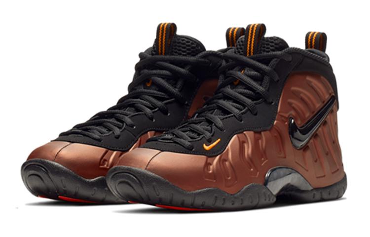 Nike Air Foamposite Pro Color Shift GS 644792-800