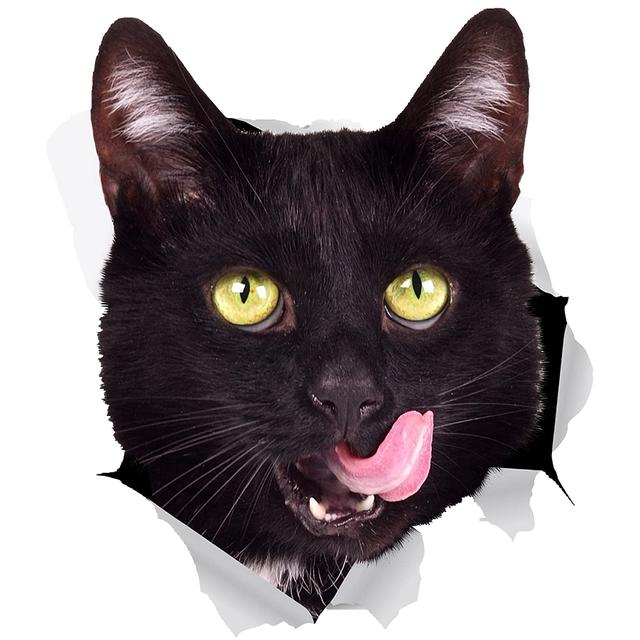 Black Cat Sticker On The Car Self-Adhesive Decal Waterproof Decoration Car Stickers