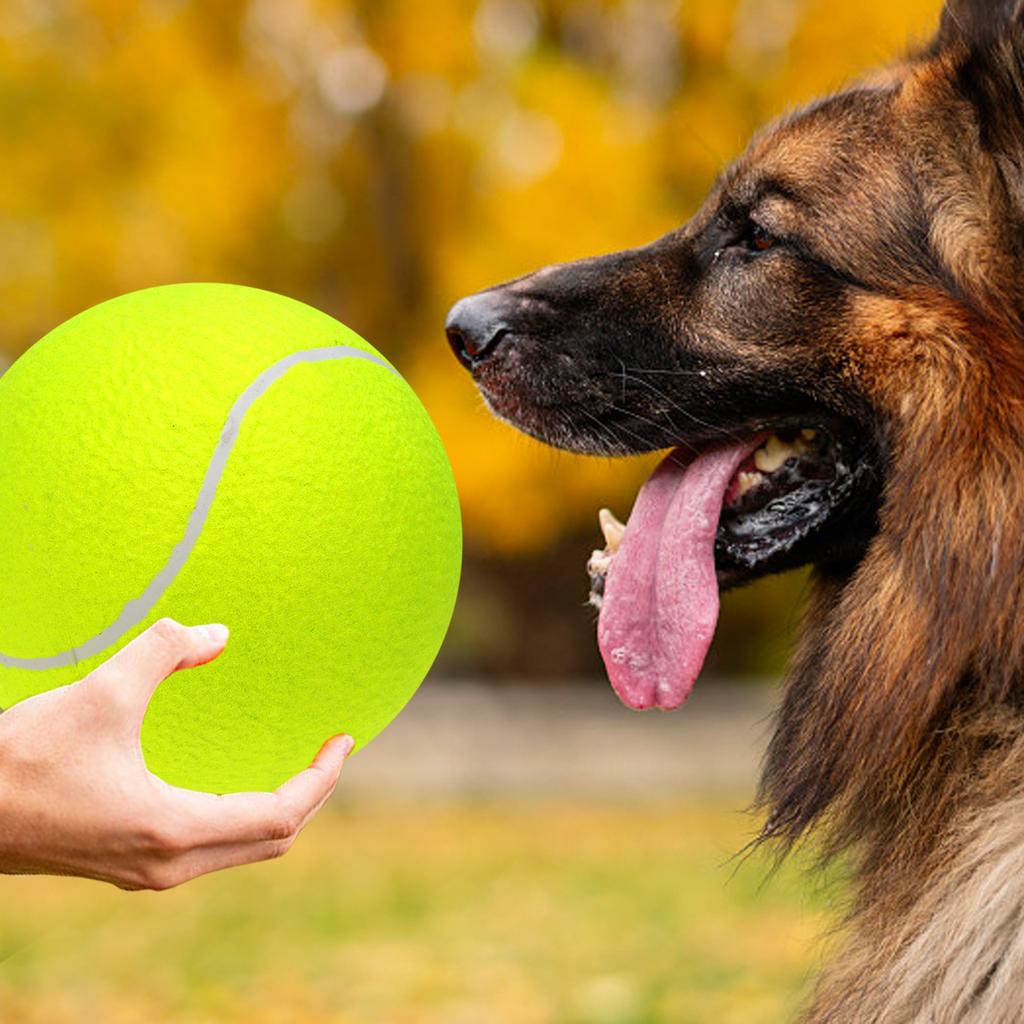 9.5‘um Oversize   Tennis  s Inflatable Tennis   with Pump Dog Toy  s For Signature Children Adult Pets Dogs Cats Fun