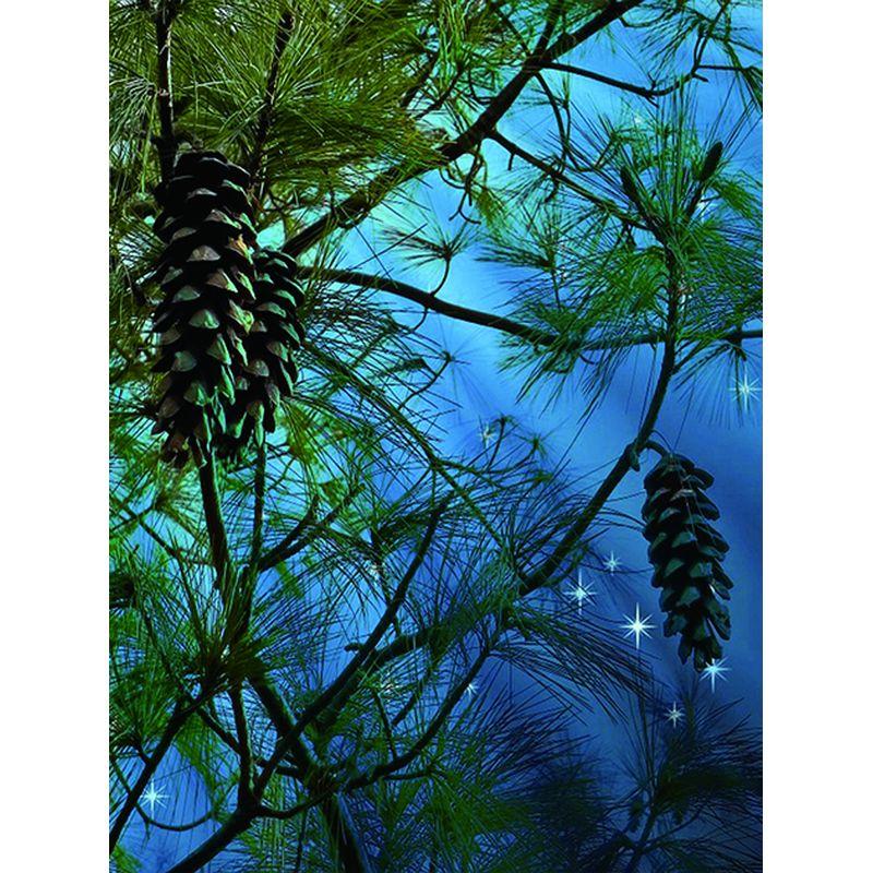 Алмазная мозаика, набор для вышивания пейзажей заката, 5d наборы для алмазной живописи, морская картина из страз, украшение для дома