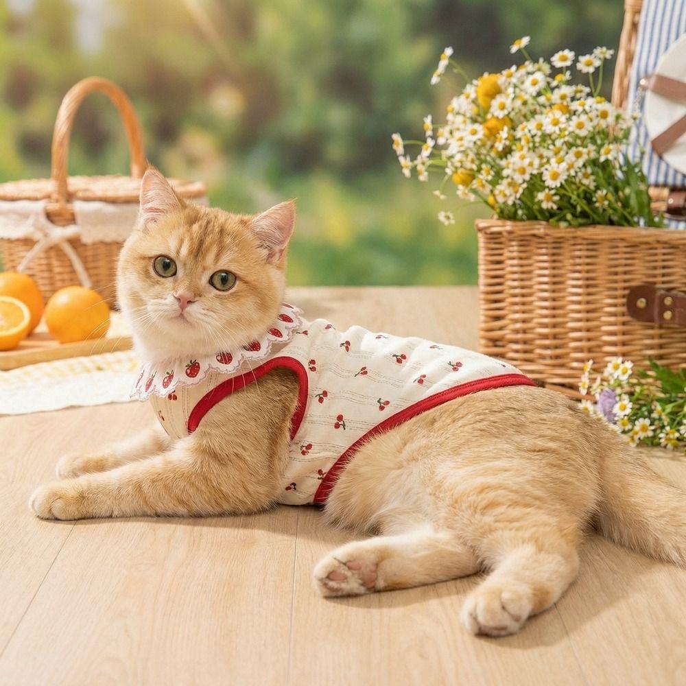 Модная футболка для собак и кошек с оборками, клубничным рисунком, вишнями. Дышащая, короткий рукав, тонкая, мягкая. Для ношения в помещении.