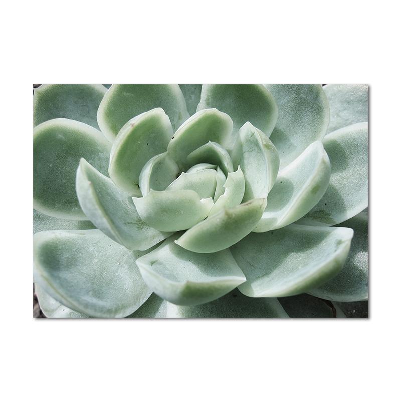 Scandinavian Green Leaves Flowers Picture Tropical Plant Wall Art Canvas Painting Nordic Posters and Prints Living Room Decor