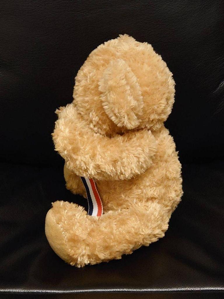 [USED] Beautiful teddy bear